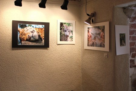 Juil.2012/Baixas (66)